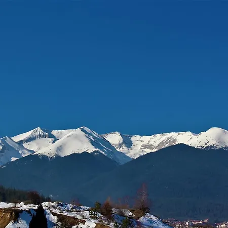Cozy 1 Bedroom Self-catering Fully Equipped Flat In St Ivan Rilski With Free Services Lejlighed